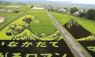 2019年,7個能賺錢的農業新模式