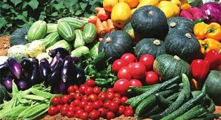 未來農業(yè)將是最賺錢的項目,神木農產品電子商務開發(fā)研究投資方案在這里