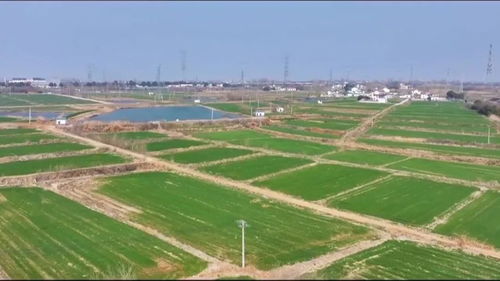 陳集鎮(zhèn) 順勢而為 趁勢而上 聚力打造工業(yè)強鎮(zhèn)農業(yè)大鎮(zhèn)旅游新鎮(zhèn)丨強村富民美鄉(xiāng)村 激活鄉(xiāng)村振興 源頭水