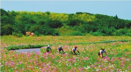 建設現(xiàn)代鋼都 打造秀美之城--鞍山市深入實施城市提升工程紀實