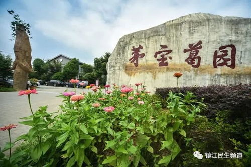 多項產品被列入國家星火計劃,鎮(zhèn)江這個旅游示范點厲害了