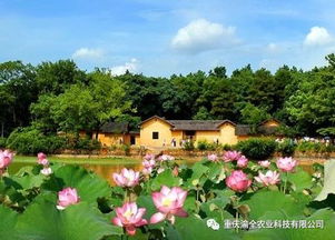 鄉(xiāng)村旅游 農業(yè) 旅游 融合發(fā)展而衍生出的項目類型有這些