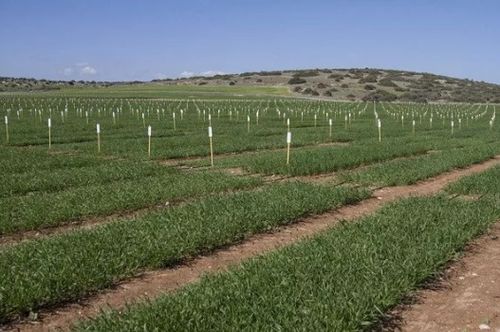 青州地主網 首個國家級農業綜合試驗區落戶山東 15大紅利 下一個會是