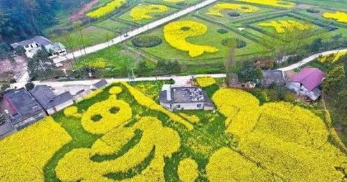 農業最賺錢的一年要來了