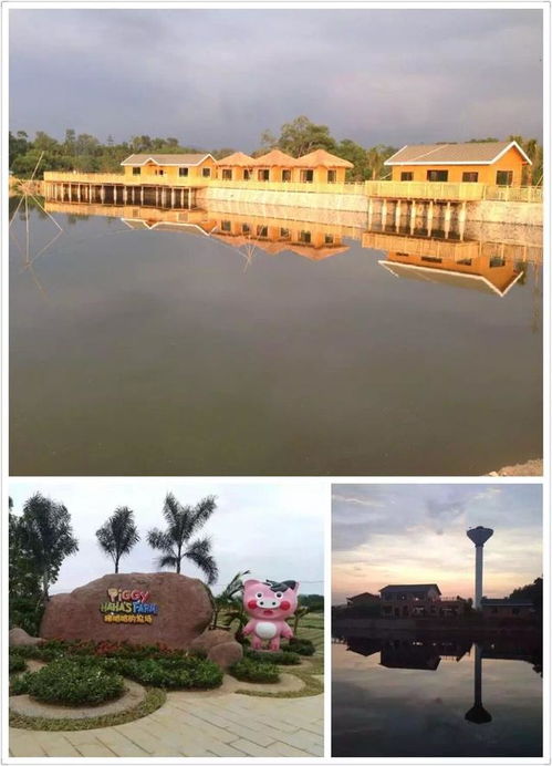 一文讀懂國家現代農業主題公園及其類型