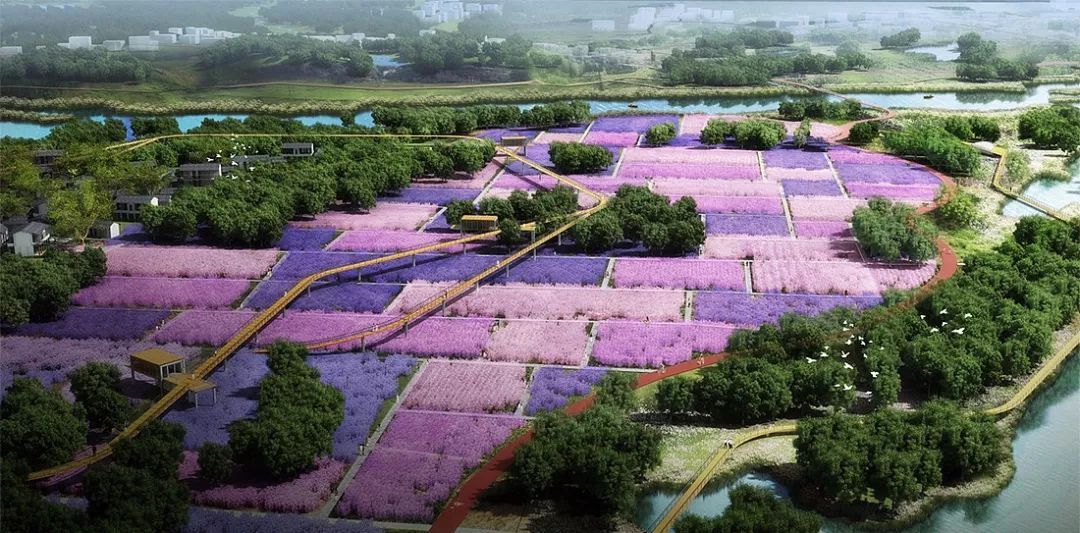 現代農業產業園,開發模式與五大運營模式 !