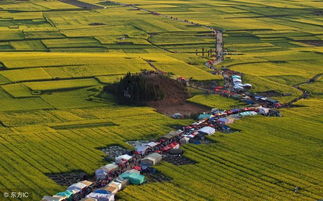 農業現代化的發展離不開農業全新理念的引領