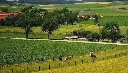 田園綜合體 怎么搞 我們整理了一些的經(jīng)驗(yàn)