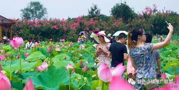 休閑農(nóng)業(yè)總體規(guī)劃包括哪些要素