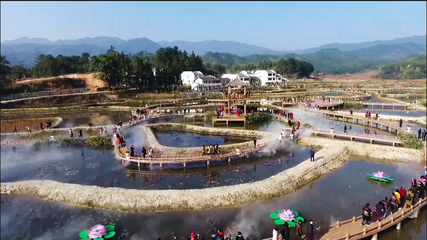 歐陽巧文調(diào)研生態(tài)農(nóng)業(yè)和旅游開發(fā)工作