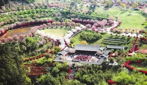 如何借 5 2 模式發(fā)展休閑農(nóng)業(yè)和鄉(xiāng)村旅游