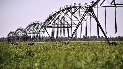 西部大開發(fā)10周年:設(shè)施農(nóng)業(yè)促內(nèi)蒙古成為&ldquo;天下糧倉&rdquo;