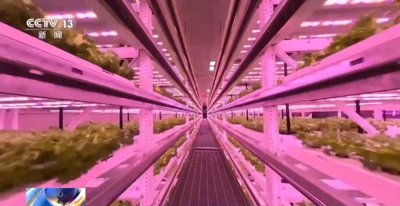 機(jī)器人養(yǎng)蛋雞、室內(nèi)蔬菜工廠&hellip;福建農(nóng)業(yè)上演&ldquo;科技大片&rdquo;