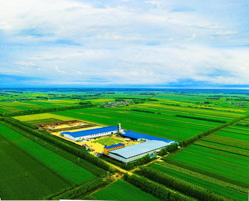 火爆俞敏洪直播間的北緯47度鮮玉米,藏著中國農(nóng)業(yè)發(fā)展的未來