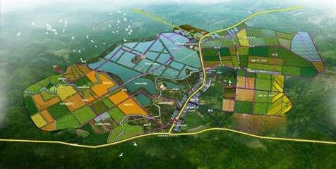 &ldquo;首屆鄱陽湖清水大閘蟹文化藝術節&rdquo;在江西彭澤盛大開幕 - 中國日報網