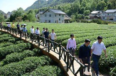 知識|搞懂這8個一體化!輕松賺千萬