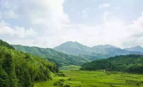 如何發(fā)展茶產(chǎn)業(yè) 旅游產(chǎn)業(yè)