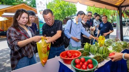 夏陽街道:緊抓機遇打造市級樣板,政企攜手開啟致富之路丨強發(fā)展信心 筑實干同心