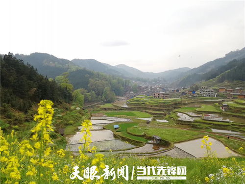 走出生態(tài)優(yōu)先綠色發(fā)展新路子 貴州堅定不移推動長江經(jīng)濟帶高質量發(fā)展 三