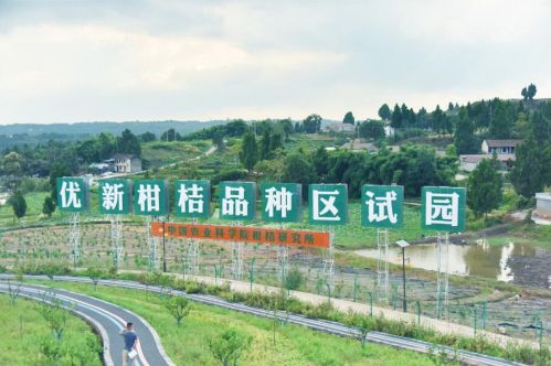 聚焦成渝地區(qū)雙城經(jīng)濟圈 崛起的資陽