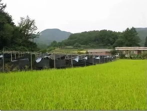 國外鄉村旅游開發模式及案例解析