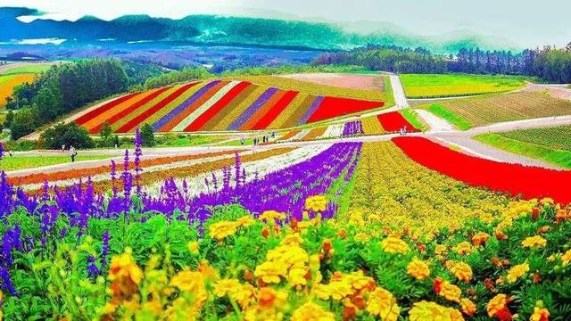 失敗的休閑農(nóng)業(yè)案例告訴我們,除了錢(qián)這些東西也很重要!