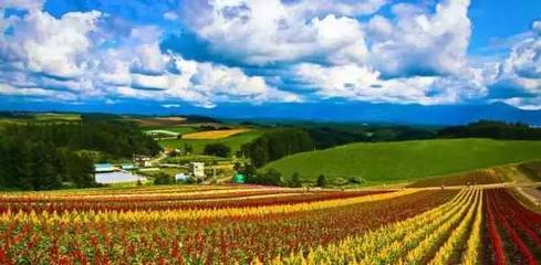 關注農業休閑綜合體!以旅游休閑為導向的土地綜合開發新模式