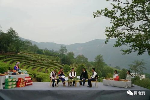 大理公郎鎮羅伯克茶園村 茶旅融合一 葉 致富