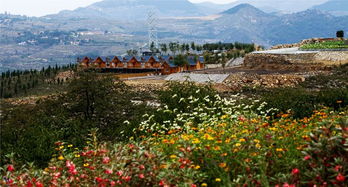 雙馬山 尋訪一片沐心凈土