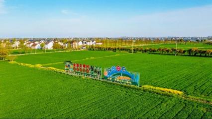 陶莊鎮奏響鄉村振興&ldquo;協奏曲&rdquo; 書寫美麗城鎮共同富裕&ldquo;新答卷&rdquo;