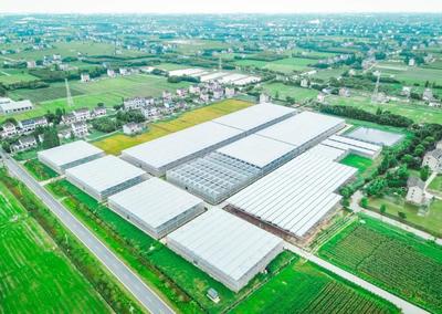 廣陳鎮綠跡數字農業工廠扮靚農業特色美麗城鎮