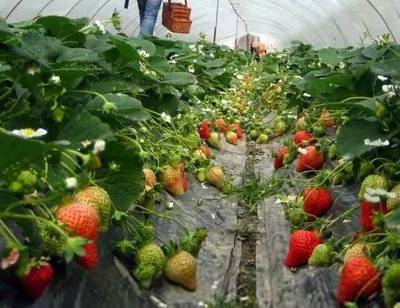 厲害了！江蘇9縣市被中央點贊，揚州上榜！快看看有沒有你家~