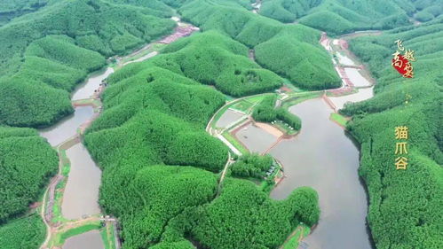 2020年度省級休閑農業與鄉村旅游示范鎮示范點公示 高要兩處上榜，助推農業旅游開發