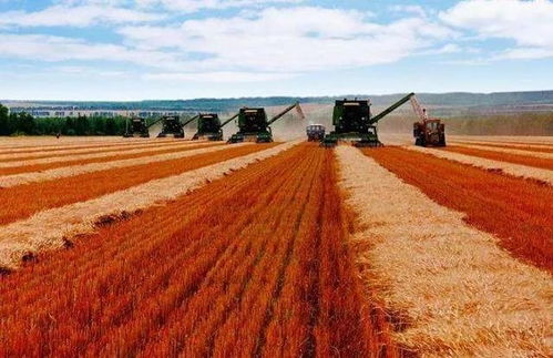 哈爾濱的得名與農業旅游發展前景