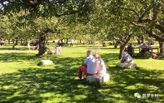 中國農業旅游的發展歷程與盈利模式探析