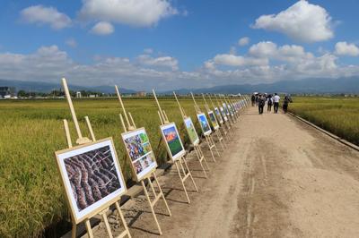 豐收云南·暢游保山——2023年中國農民豐收節系列活動暨農業旅游開發新篇章