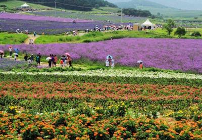 探索休閑農業多元發展路徑與科學規劃之道