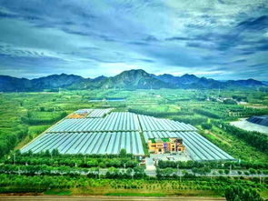 免費門票任你領，天葡莊園采葡萄 農業旅游開發的新篇章