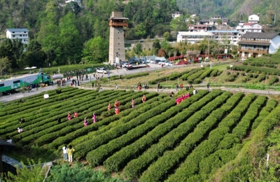 西八千鄉(xiāng)農(nóng)業(yè)旅游開發(fā) 開啟鄉(xiāng)村振興的嶄新篇章