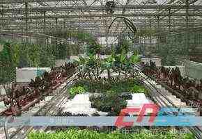 涼水生態(tài)農(nóng)業(yè)與旅游開發(fā) 構(gòu)建綠色經(jīng)濟新典范